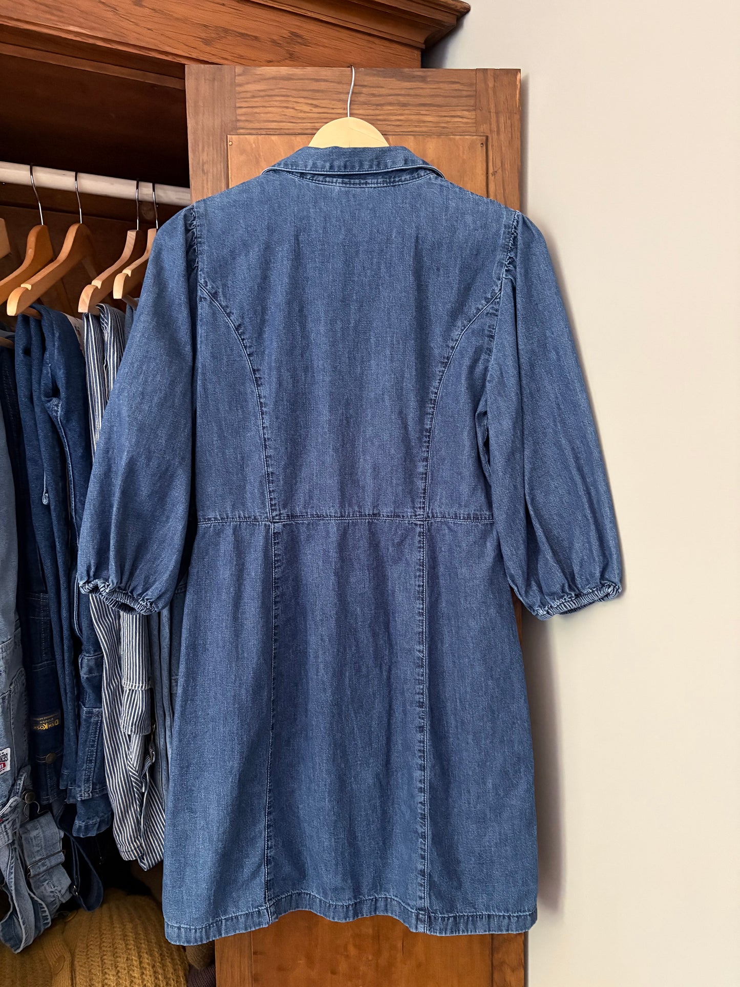 Robe en denim GAP (Médium)