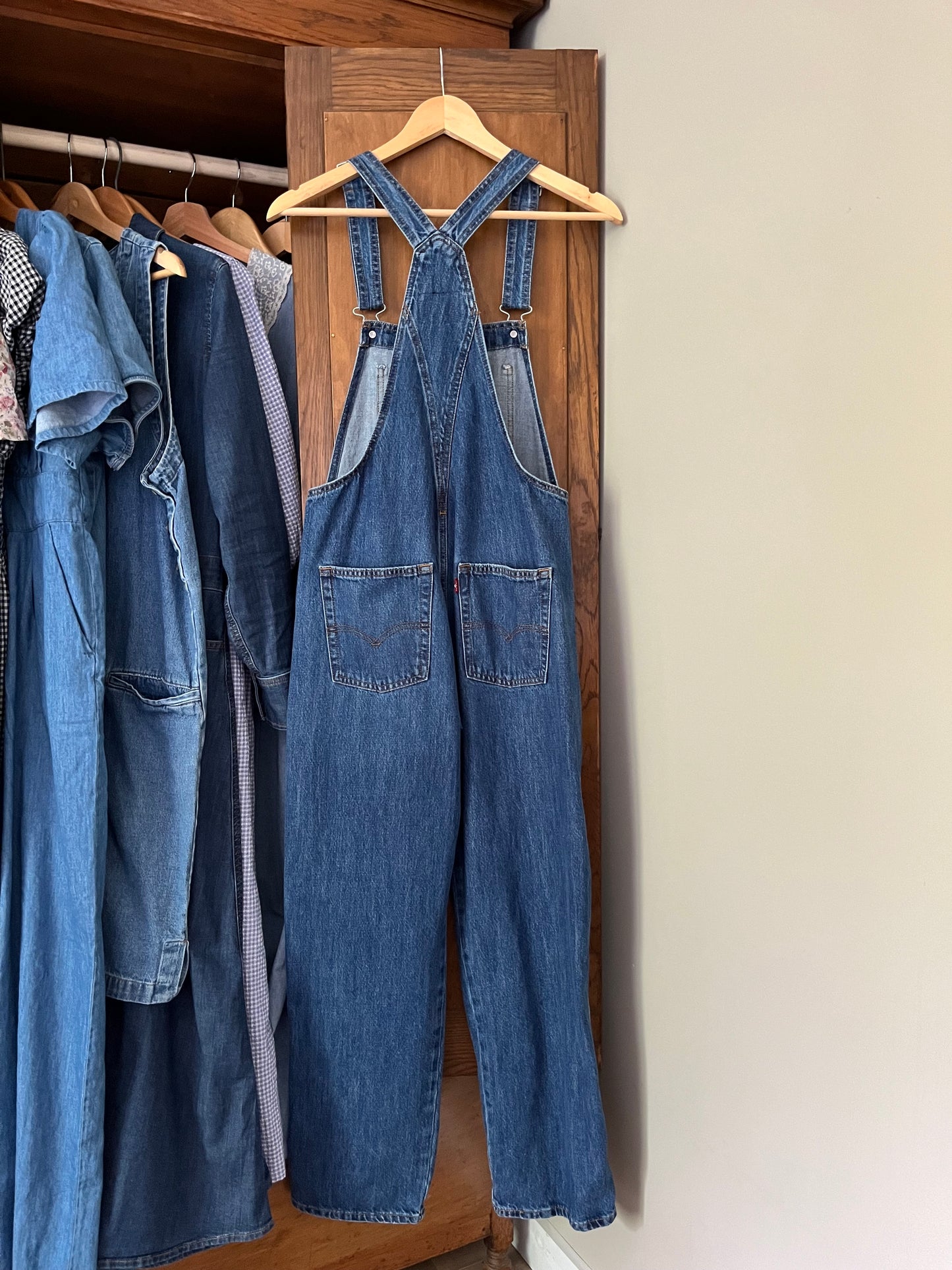 Salopette Levis (Xsmall)